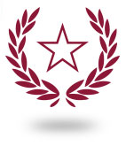 Star and Medal Illustration
